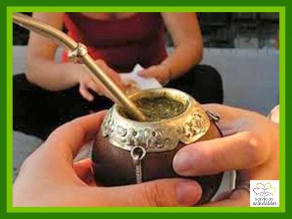 ¿Sabías los beneficios del Mate?