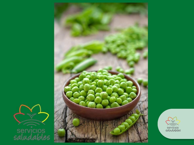¿SABÍAS QUE LAS ARVEJAS FRESCAS SON 3 VECES MENOS CALÓRICAS QUE LAS ARVEJAS DE LATA? ¿SABÍAS QUE LAS ARVEJAS FRESCAS SON 3 VECES MENOS CALÓRICAS QUE LAS ARVEJAS DE LATA?