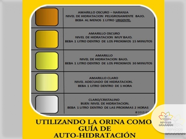 ¿SABIAS QUE NOS INDICA EL COLOR DE LA ORINA?