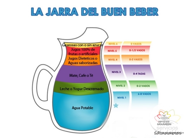 ¿SABÍAS QUE EXISTE LA JARRA DE LA HIDRATACIÓN SALUDABLE?